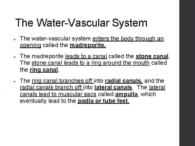 The Water-Vascular System The water-vascular system enters the body through an opening called the