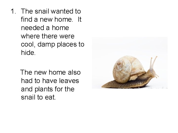 1. The snail wanted to find a new home. It needed a home where