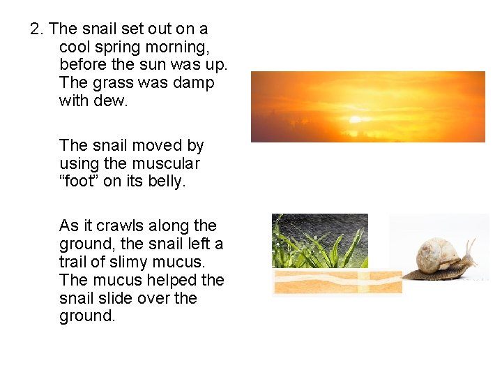 2. The snail set out on a cool spring morning, before the sun was