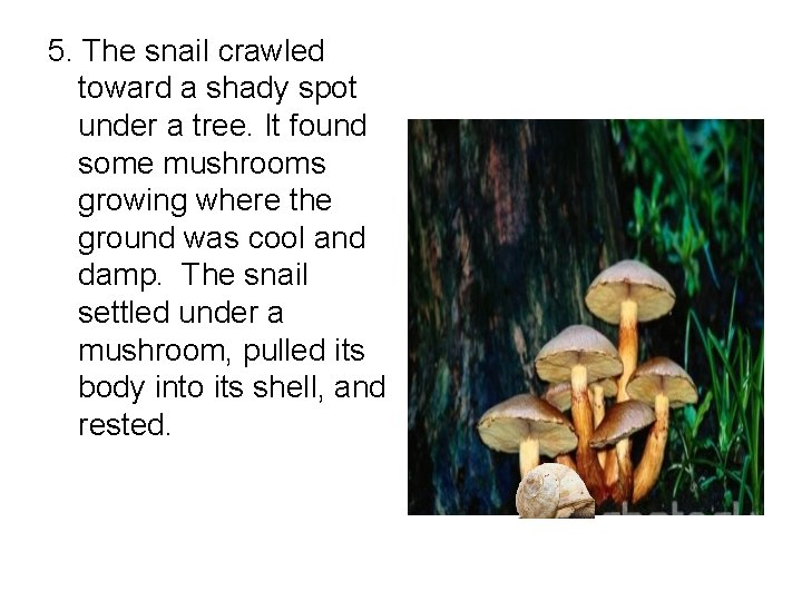 5. The snail crawled toward a shady spot under a tree. It found some