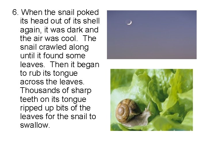 6. When the snail poked its head out of its shell again, it was