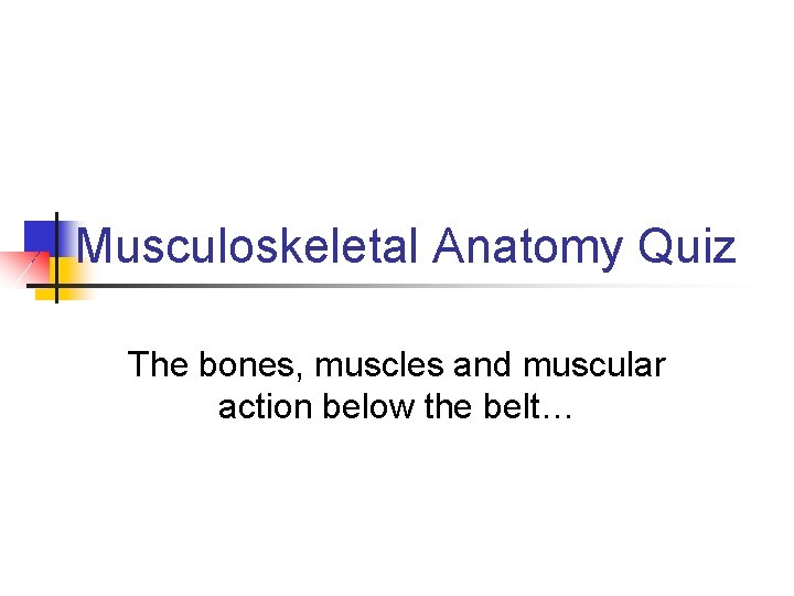 Musculoskeletal Anatomy Quiz The bones, muscles and muscular action below the belt… 