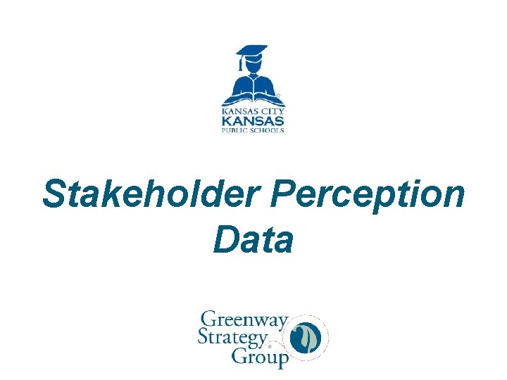 Stakeholder Perception Data 