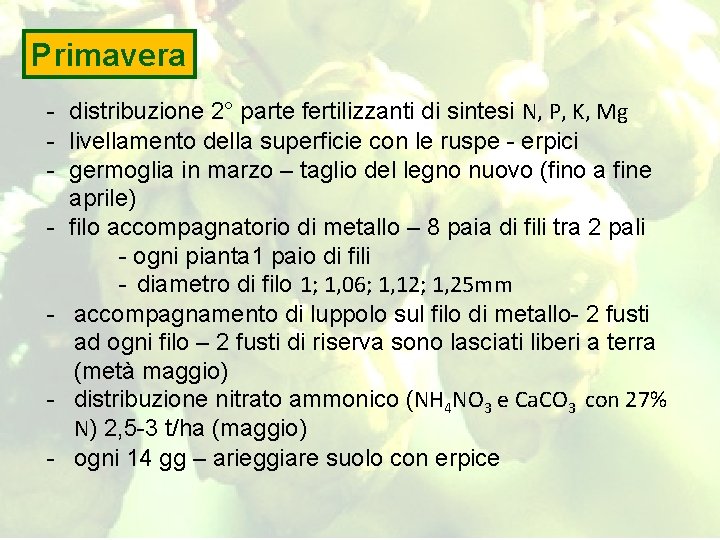 Primavera - distribuzione 2° parte fertilizzanti di sintesi N, P, K, Mg - livellamento