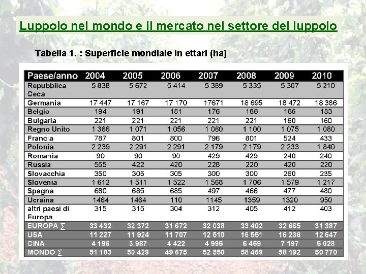 Luppolo nel mondo e il mercato nel settore del luppolo Tabella 1. : Superficie