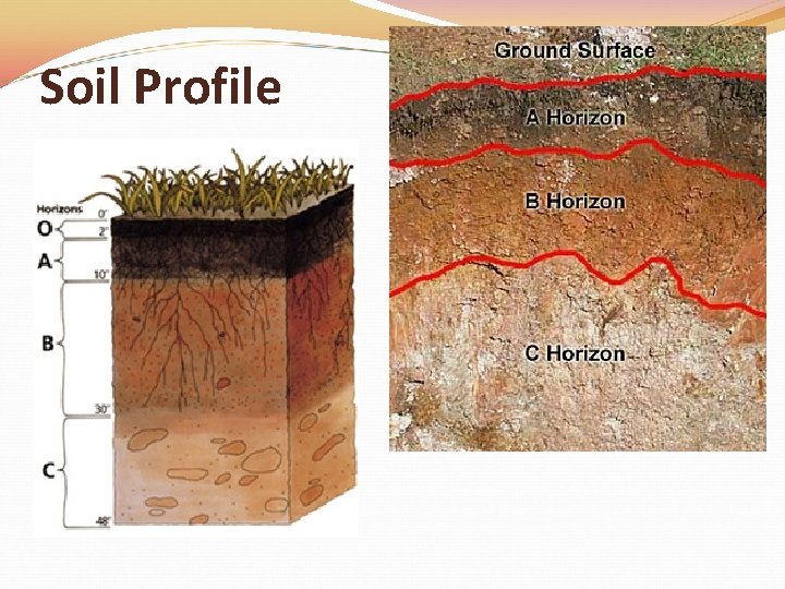 Soil Profile 