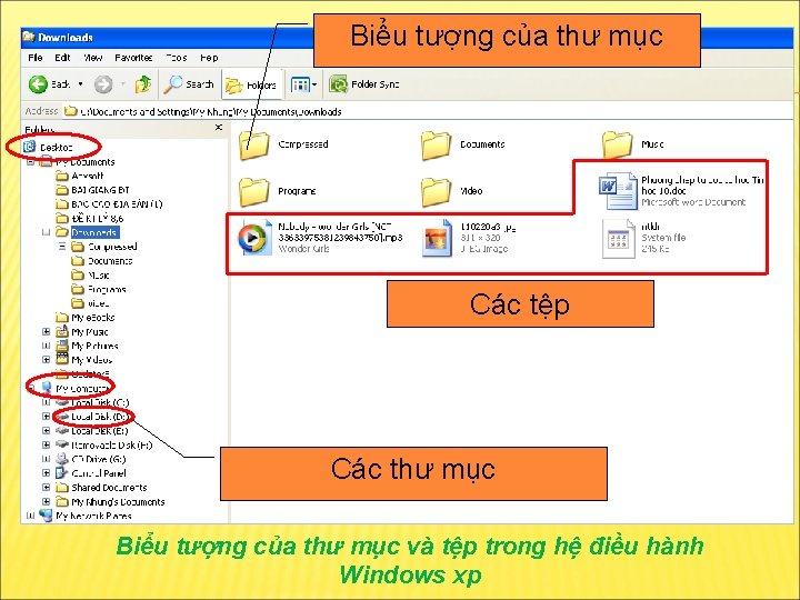 Biểu tượng của thư mục Các tệp Các thư mục Biểu tượng của thư