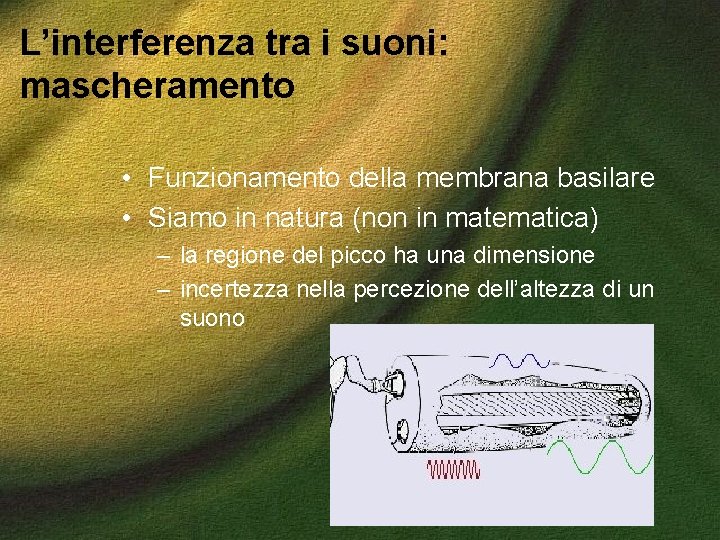 L’interferenza tra i suoni: mascheramento • Funzionamento della membrana basilare • Siamo in natura