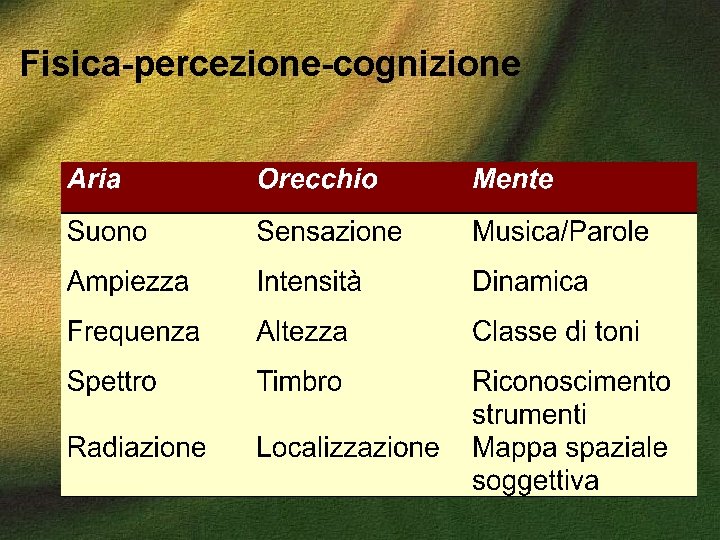 Fisica-percezione-cognizione 