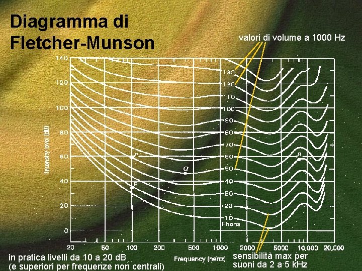 Diagramma di Fletcher-Munson in pratica livelli da 10 a 20 d. B (e superiori