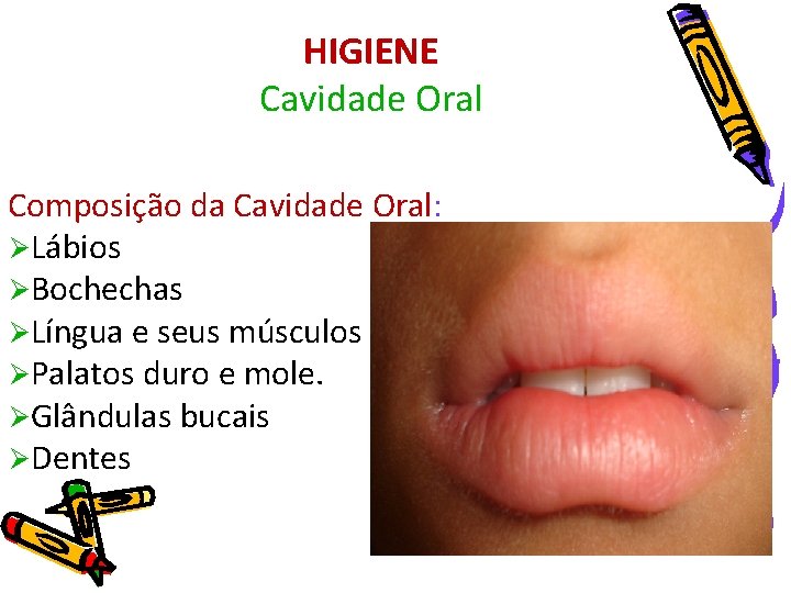 HIGIENE Cavidade Oral Composição da Cavidade Oral: ØLábios ØBochechas ØLíngua e seus músculos ØPalatos