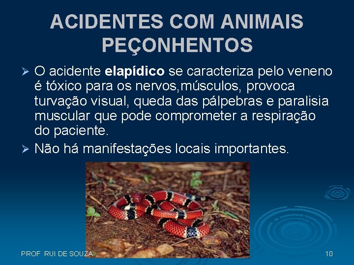 ACIDENTES COM ANIMAIS PEÇONHENTOS O acidente elapídico se caracteriza pelo veneno é tóxico para