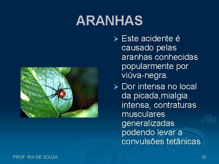 ARANHAS Este acidente é causado pelas aranhas conhecidas popularmente por viúva-negra. Ø Dor intensa