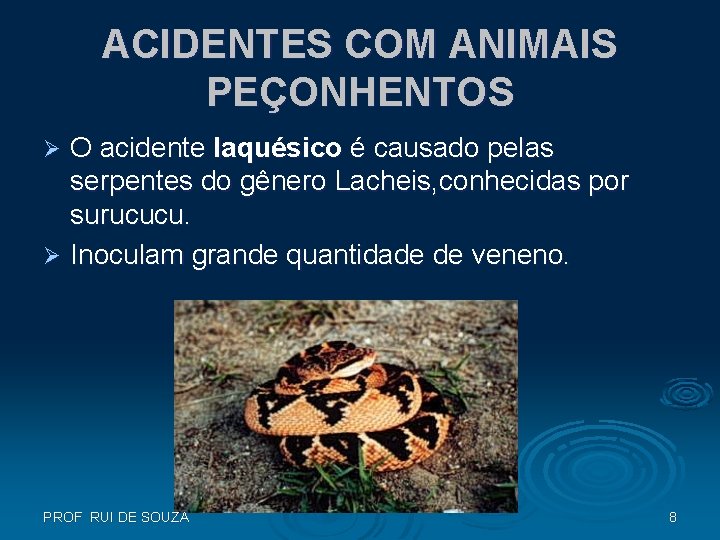 ACIDENTES COM ANIMAIS PEÇONHENTOS O acidente laquésico é causado pelas serpentes do gênero Lacheis, ACIDENTES COM ANIMAIS PEÇONHENTOS O acidente laquésico é causado pelas serpentes do gênero Lacheis,
