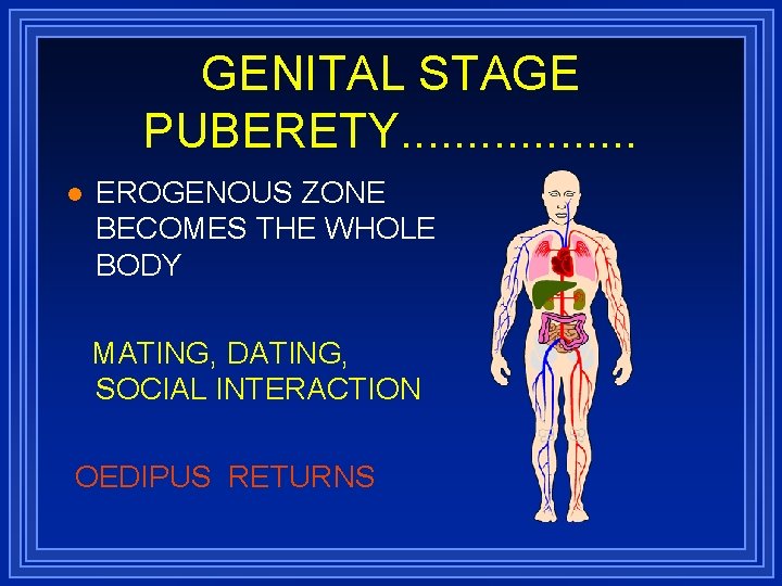 GENITAL STAGE PUBERETY. . . . l EROGENOUS ZONE BECOMES THE WHOLE BODY MATING,