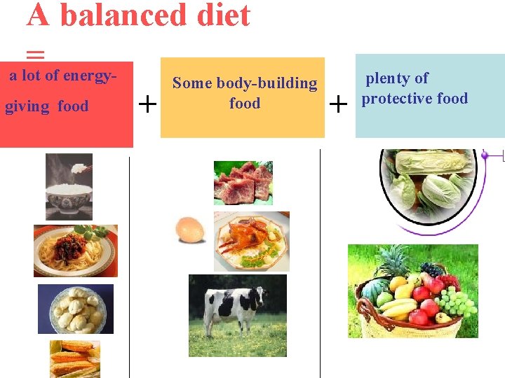 A balanced diet = a lot of energy. Some body-building food giving food + A balanced diet = a lot of energy. Some body-building food giving food +