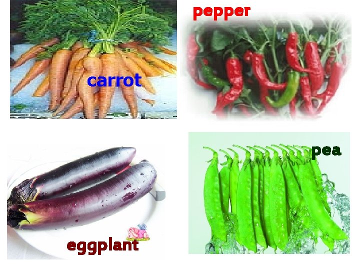 pepper carrot pea eggplant pepper carrot pea eggplant