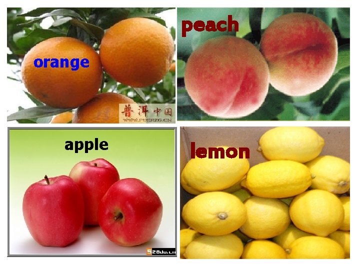 peach orange apple lemon peach orange apple lemon