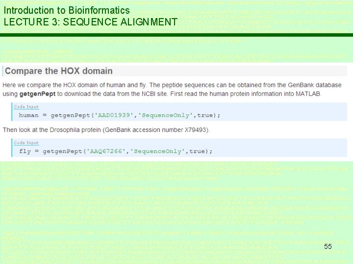 introduction to bioinformatics lecture