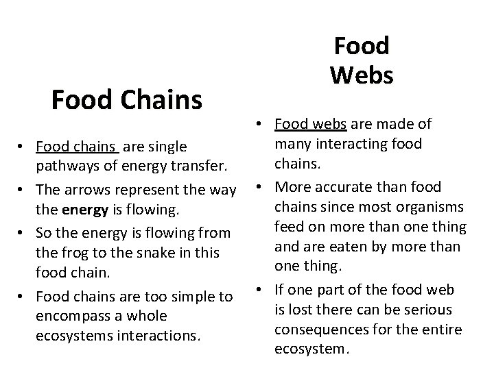 Food Chains • Food chains are single pathways of energy transfer. • The arrows