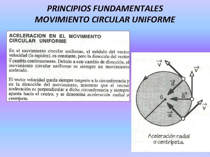 PRINCIPIOS FUNDAMENTALES MOVIMIENTO CIRCULAR UNIFORME 