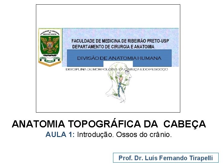 ANATOMIA TOPOGRÁFICA DA CABEÇA AULA 1: Introdução. Ossos do crânio. Prof. Dr. Luís Fernando