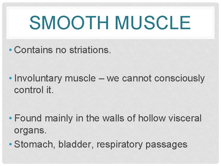 SMOOTH MUSCLE • Contains no striations. • Involuntary muscle – we cannot consciously control