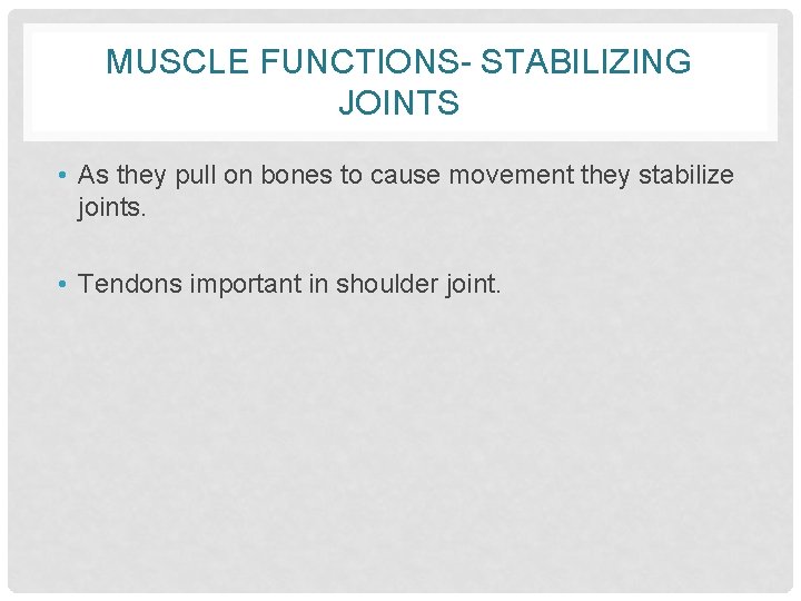 MUSCLE FUNCTIONS- STABILIZING JOINTS • As they pull on bones to cause movement they