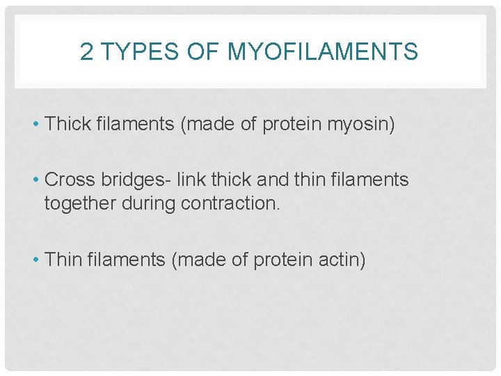 2 TYPES OF MYOFILAMENTS • Thick filaments (made of protein myosin) • Cross bridges-