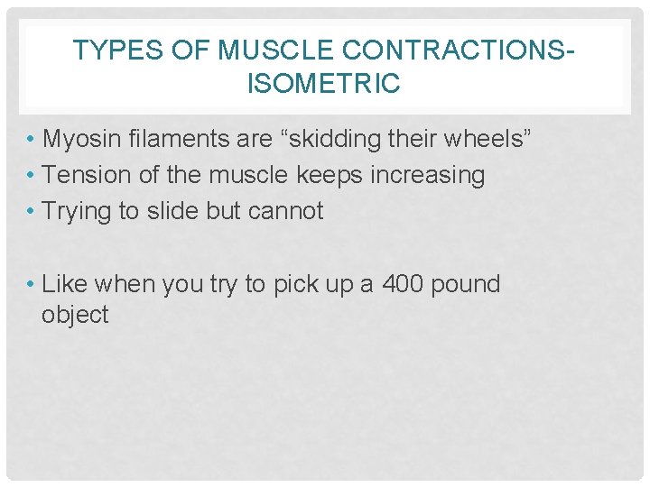TYPES OF MUSCLE CONTRACTIONSISOMETRIC • Myosin filaments are “skidding their wheels” • Tension of