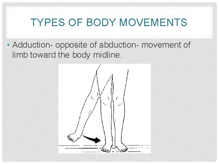 TYPES OF BODY MOVEMENTS • Adduction- opposite of abduction- movement of limb toward the