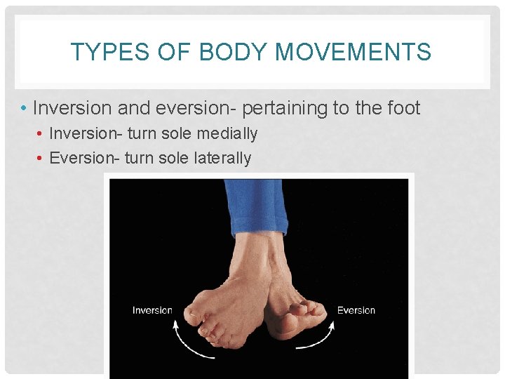 TYPES OF BODY MOVEMENTS • Inversion and eversion- pertaining to the foot • Inversion-