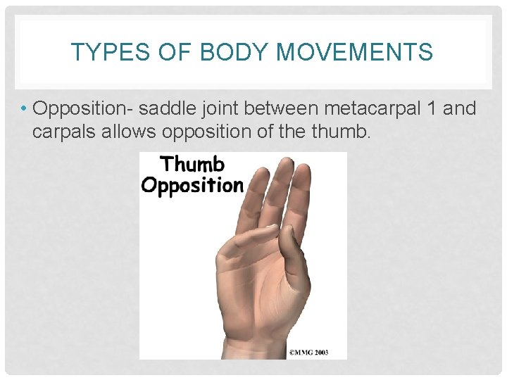 TYPES OF BODY MOVEMENTS • Opposition- saddle joint between metacarpal 1 and carpals allows