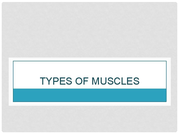 TYPES OF MUSCLES 