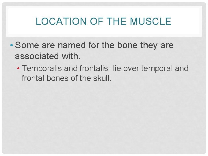LOCATION OF THE MUSCLE • Some are named for the bone they are associated