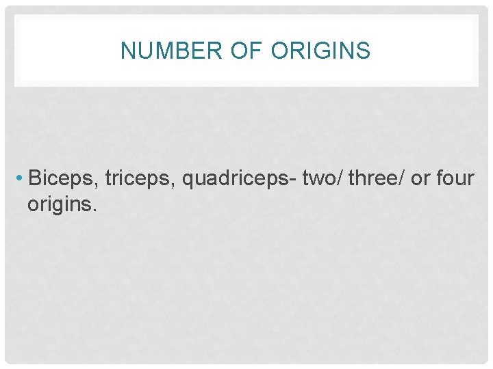 NUMBER OF ORIGINS • Biceps, triceps, quadriceps- two/ three/ or four origins. 