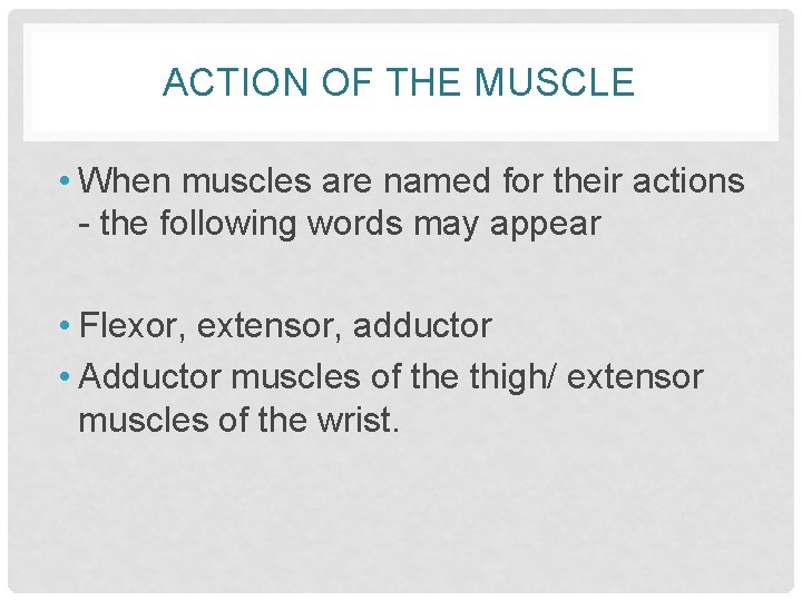 ACTION OF THE MUSCLE • When muscles are named for their actions - the