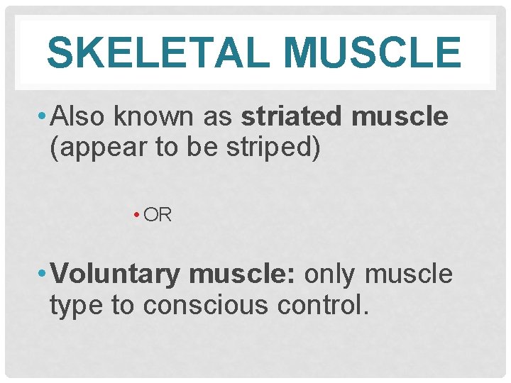 SKELETAL MUSCLE • Also known as striated muscle (appear to be striped) • OR