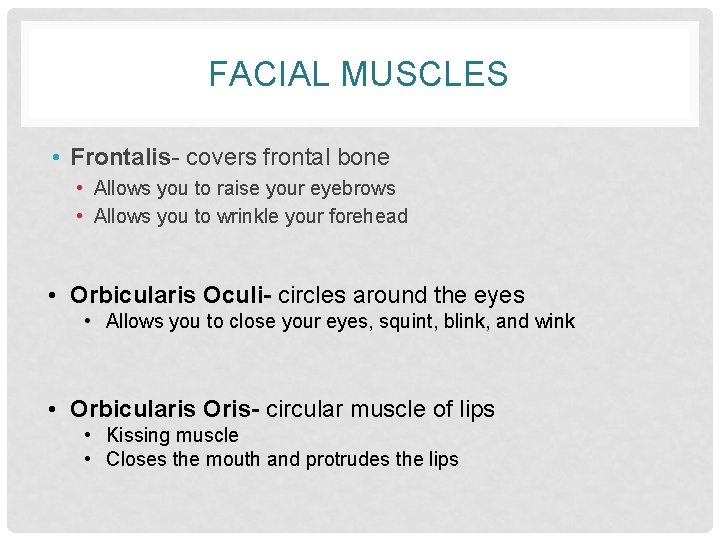 FACIAL MUSCLES • Frontalis- covers frontal bone • Allows you to raise your eyebrows