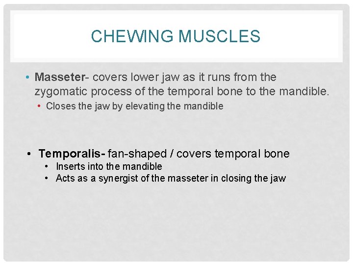 CHEWING MUSCLES • Masseter- covers lower jaw as it runs from the zygomatic process