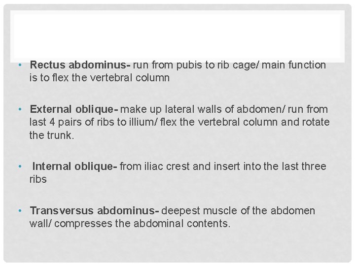  • Rectus abdominus- run from pubis to rib cage/ main function is to