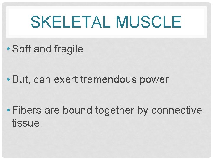 SKELETAL MUSCLE • Soft and fragile • But, can exert tremendous power • Fibers