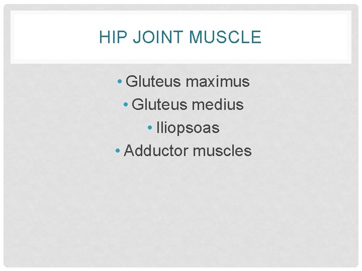 HIP JOINT MUSCLE • Gluteus maximus • Gluteus medius • Iliopsoas • Adductor muscles