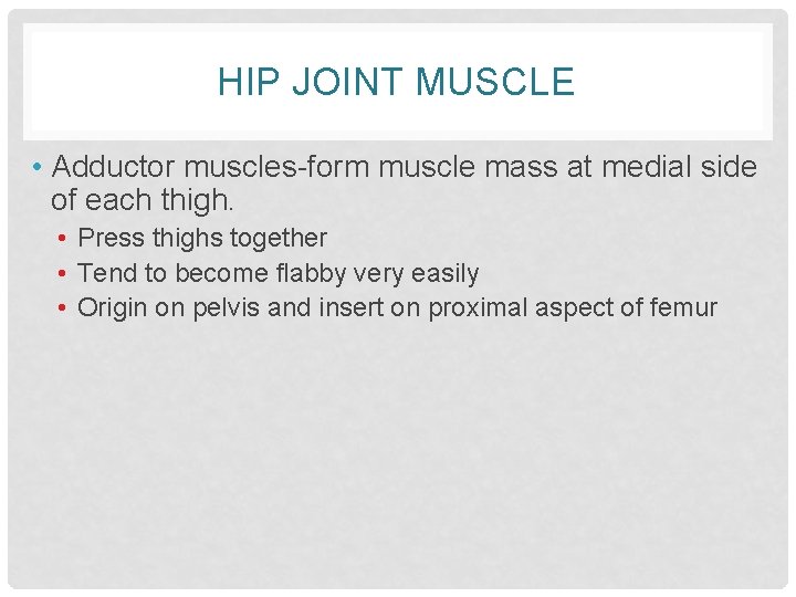 HIP JOINT MUSCLE • Adductor muscles-form muscle mass at medial side of each thigh.