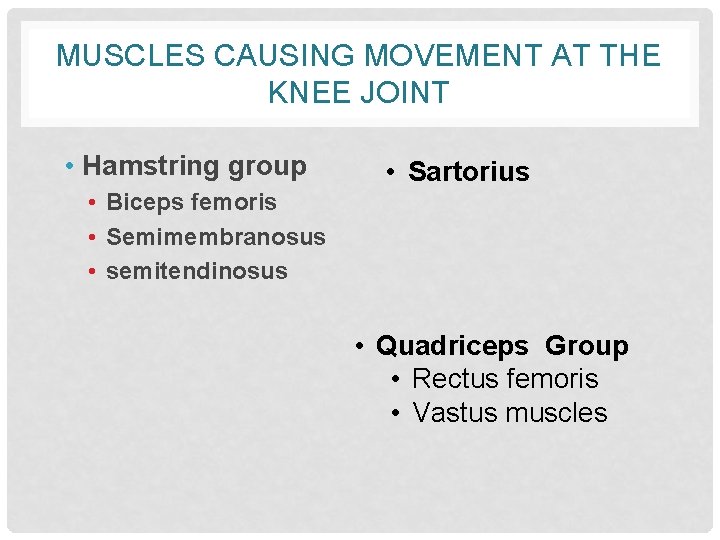 MUSCLES CAUSING MOVEMENT AT THE KNEE JOINT • Hamstring group • Sartorius • Biceps