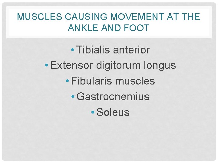 MUSCLES CAUSING MOVEMENT AT THE ANKLE AND FOOT • Tibialis anterior • Extensor digitorum