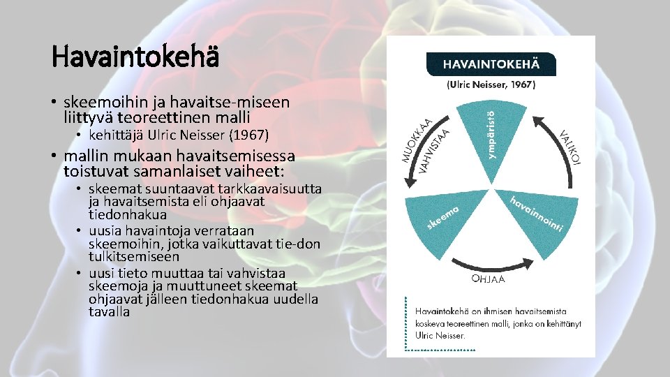 Havaintokehä • skeemoihin ja havaitse miseen liittyvä teoreettinen malli • kehittäjä Ulric Neisser (1967)