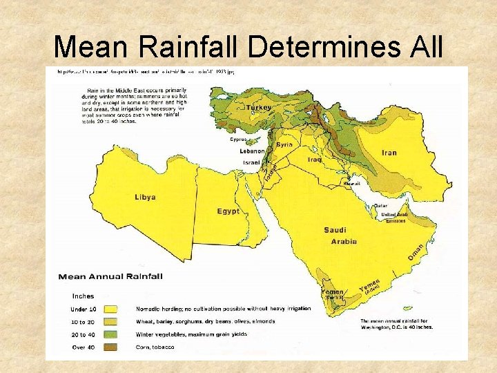 Mean Rainfall Determines All 