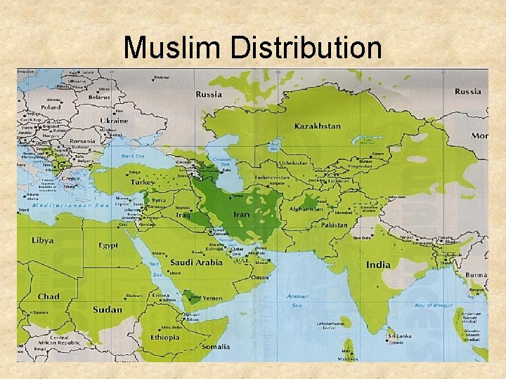 Muslim Distribution 
