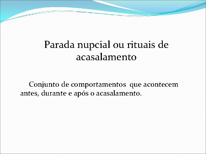Parada nupcial ou rituais de acasalamento Conjunto de comportamentos que acontecem antes, durante e